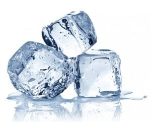 adding ice in a cat bowl