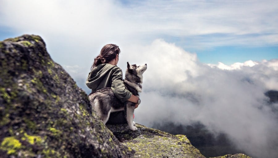 image of husky and his owner enjoying the view