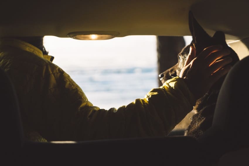 image of owner and dog traveling together