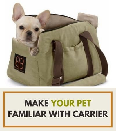 make your pet familiar with carrier