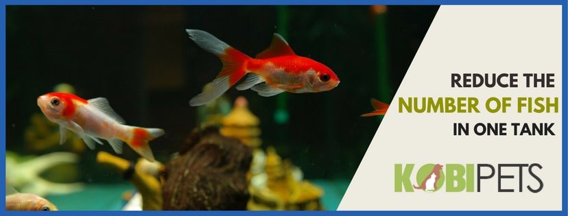 reduce number of fish in one tank