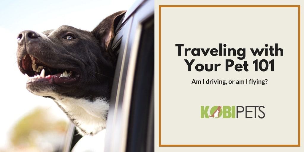 traveling with your pet - Featured Image