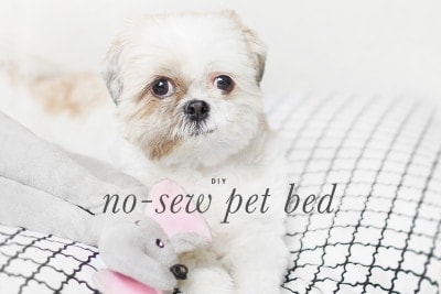 no sew dog bed