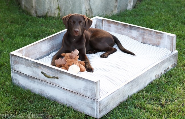 wooden dog bed idea