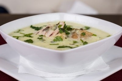 chicken soup to feed a sick cat