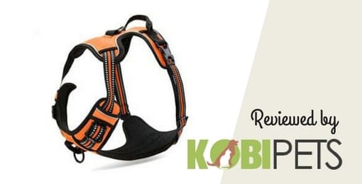 chais-choice-dog-harness-review