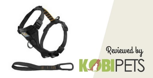 kurgo-tru-fit-walking-harness-review