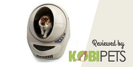 best automatic cat litter box 2018