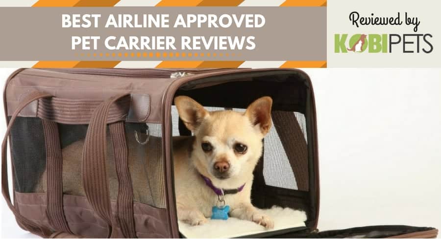 best airline approved pet carriers - featured img