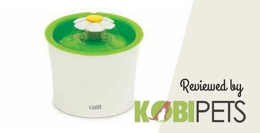 catit-flower-fountain-review