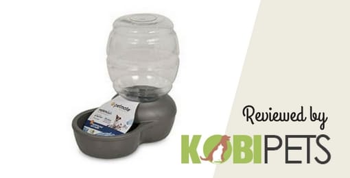 petmate-replendish-gravity-waterer-review