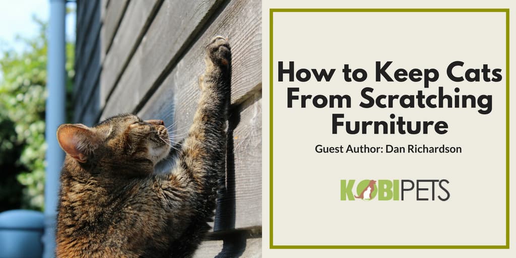 How To Keep Cats From Scratching Furniture Kobi Pets