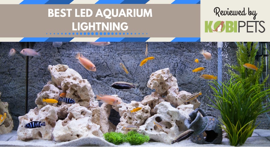 best led aquarium lightning - featured image