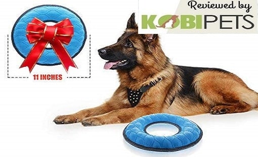 Tuff Pupper Multi-Use Floating Dog Ring Toy