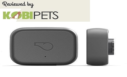 Whistle 3 GPS Pet Tracker & Activity Monitor