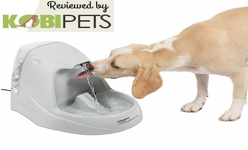 Drinkwell 360 pet fountain standard