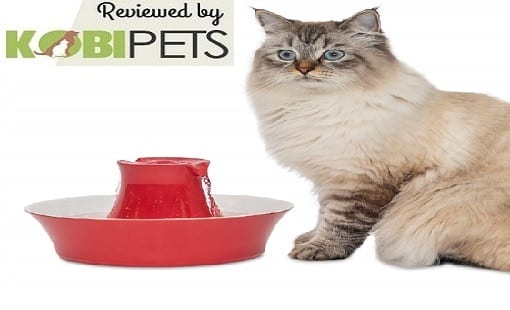 PetSafe ceramic pet pot