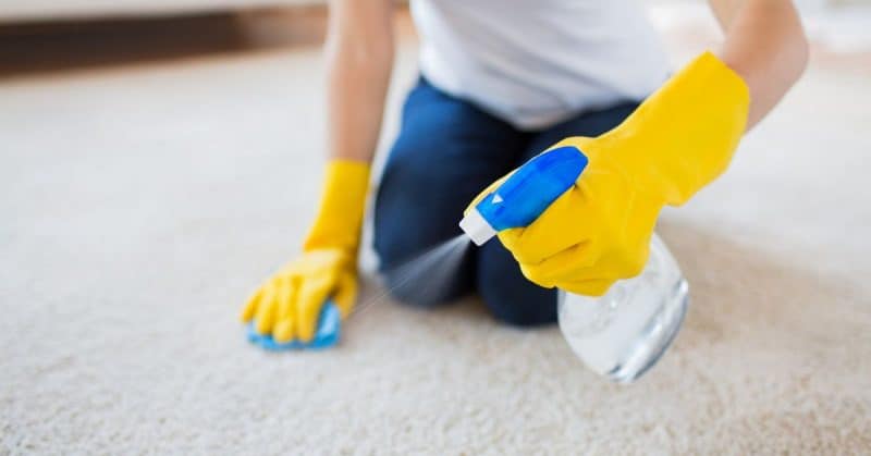 clean a carpet from dog hair