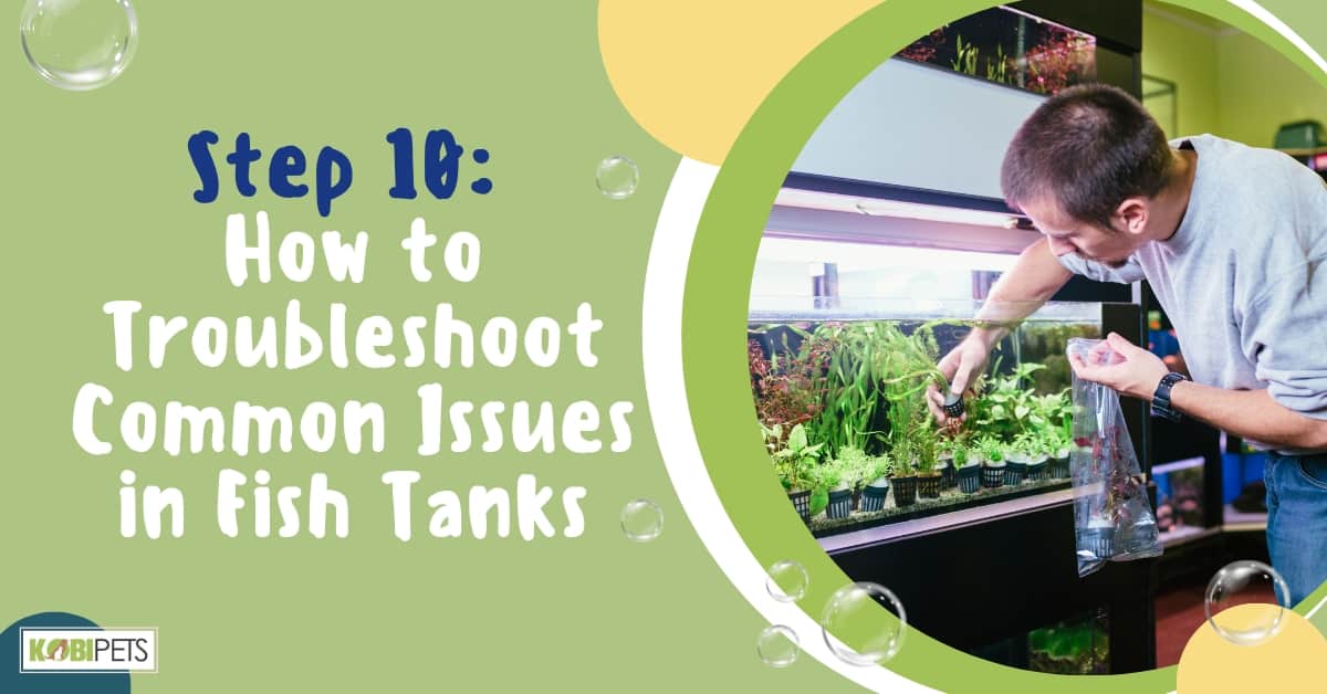 Step 10: How to Troubleshoot Common Issues in Fish Tanks