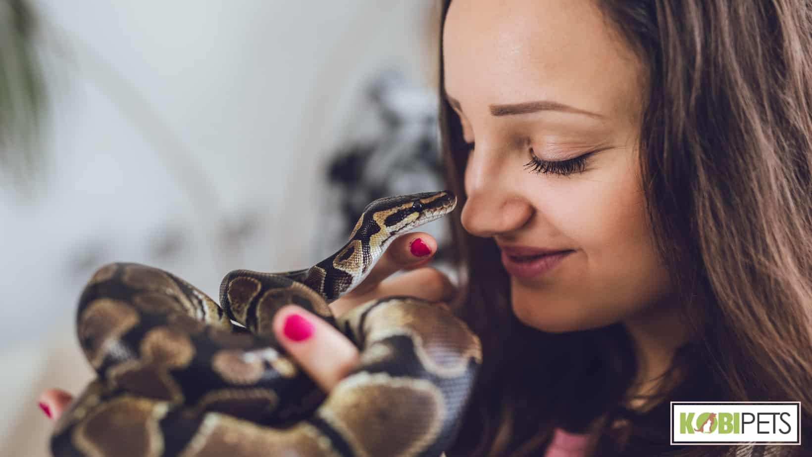 owning an exotic pet