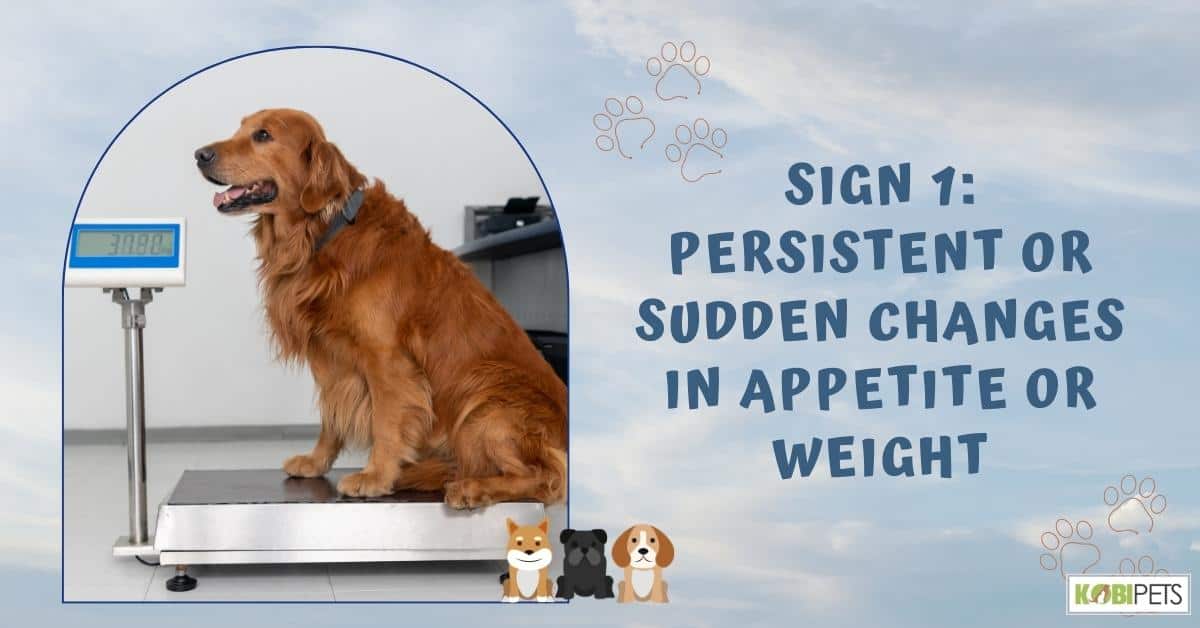 Sign 1: Persistent or Sudden Changes in Appetite or WeightSign 1: Persistent or Sudden Changes in Appetite or Weight