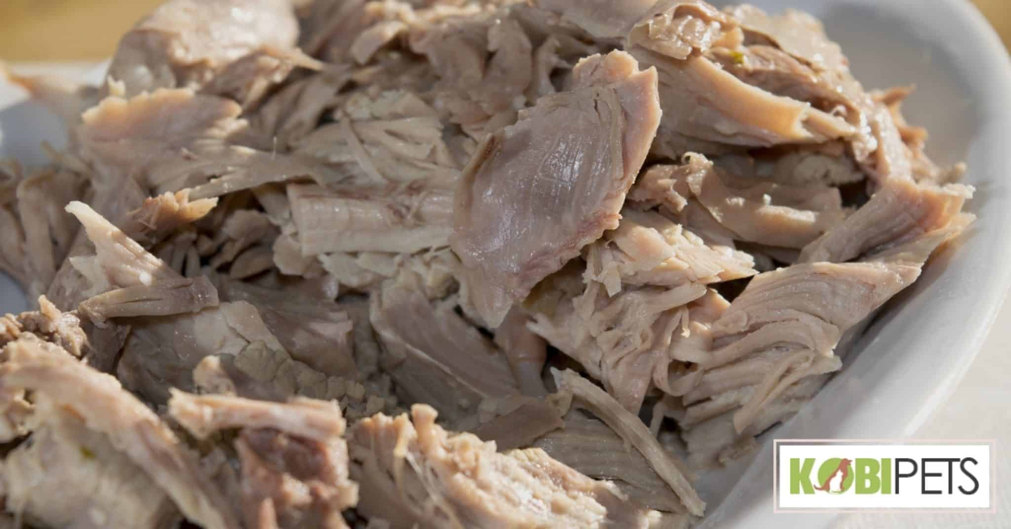 10 Nutritious Food for Dogs with Kidney Disease - Kobi Pets