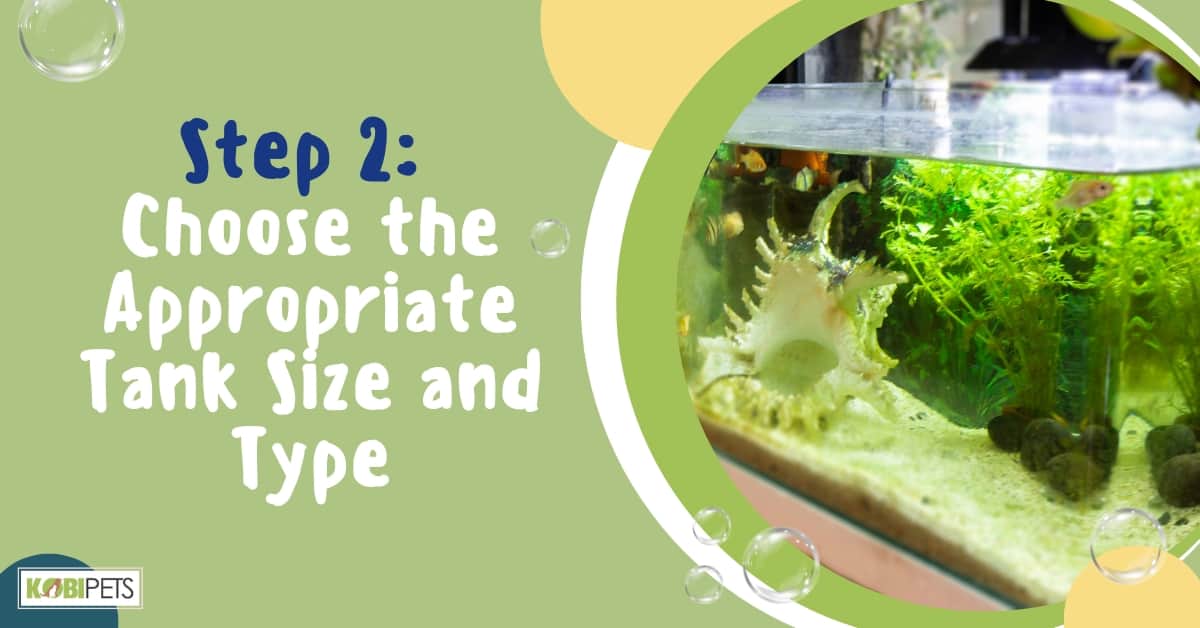 Step 2: Choose the Appropriate Tank Size and Type