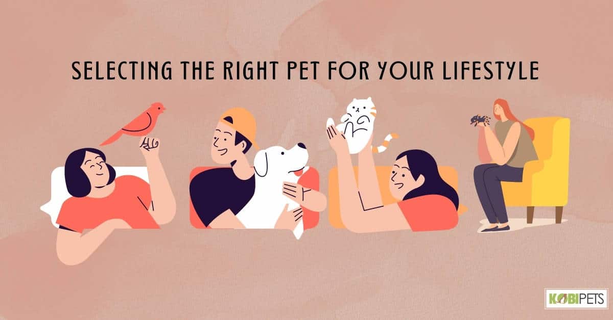 Selecting the Right Pet for Your Lifestyle