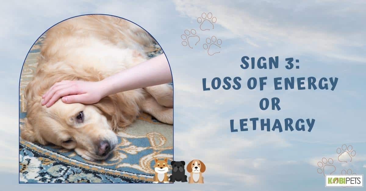 Sign 3: Loss of Energy or Lethargy
