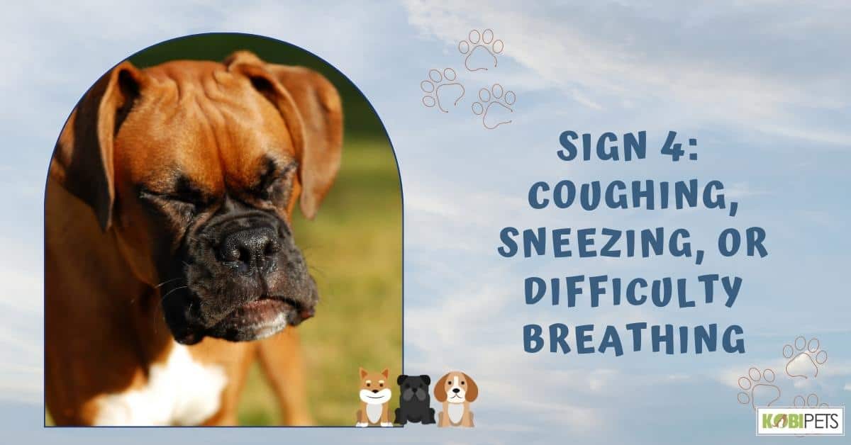Sign 4: Coughing, Sneezing, or Difficulty Breathing