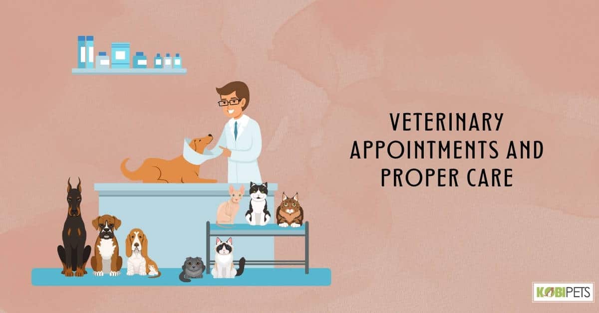Veterinary Appointments and Proper Care