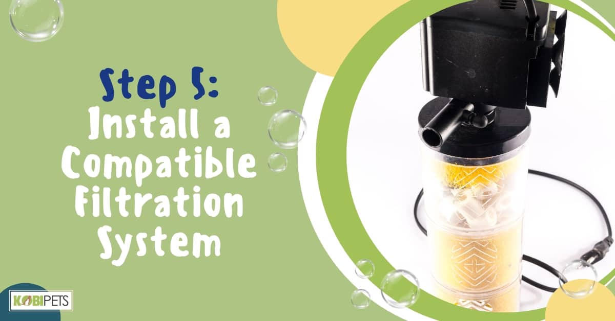 Step 5: Install a Compatible Filtration System