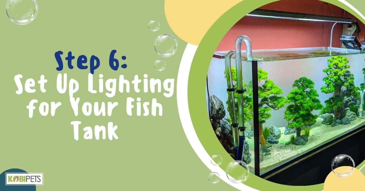 Step 6: Set Up Lighting for Your Fish Tank