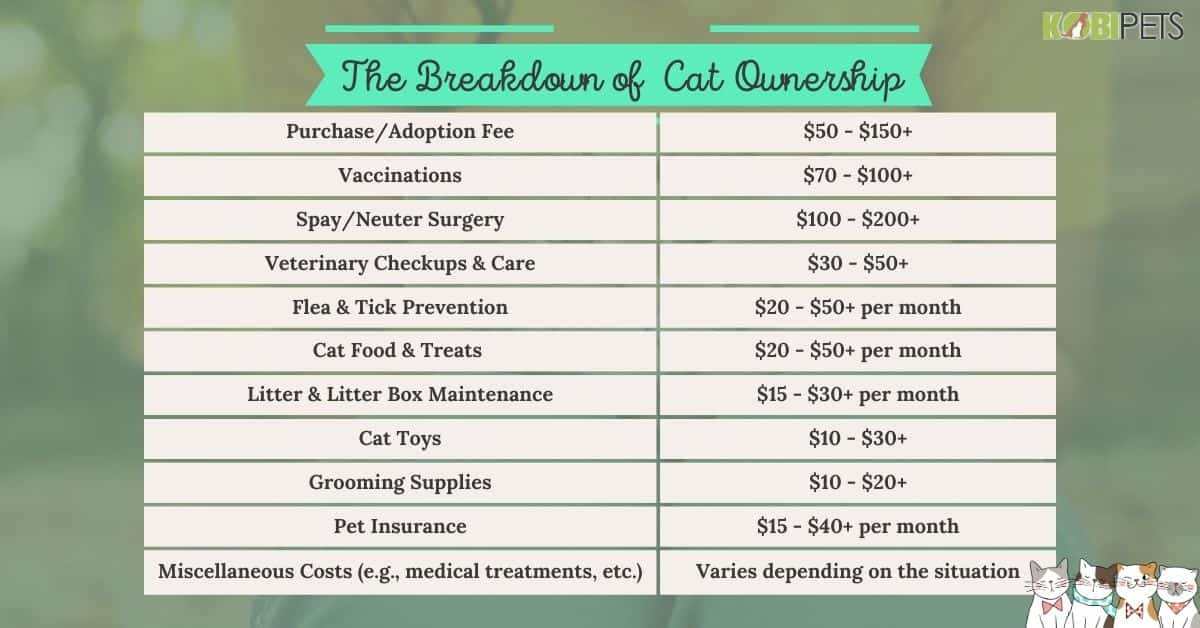 The Costs of Owning A Cat