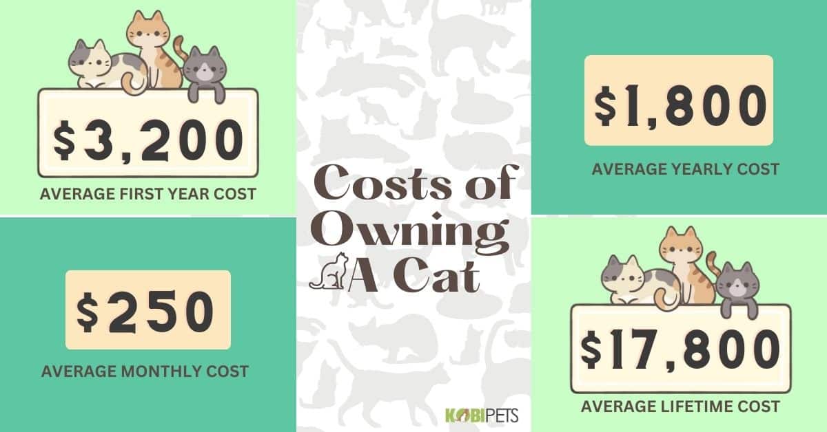 The Costs of Owning A Cat