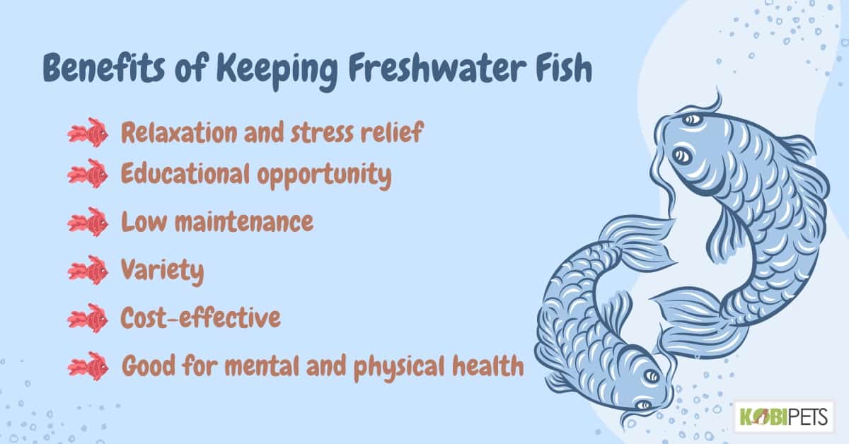 Benefits of Keeping Freshwater Fish