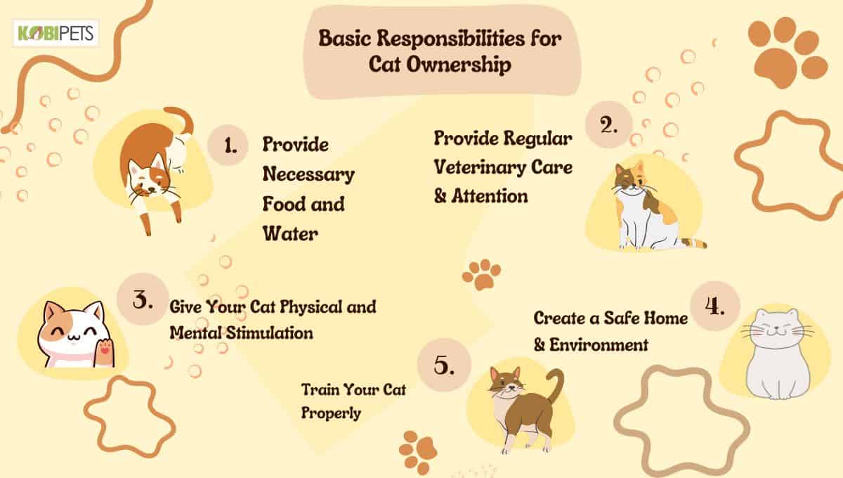 How to Be a Responsible Cat Owner