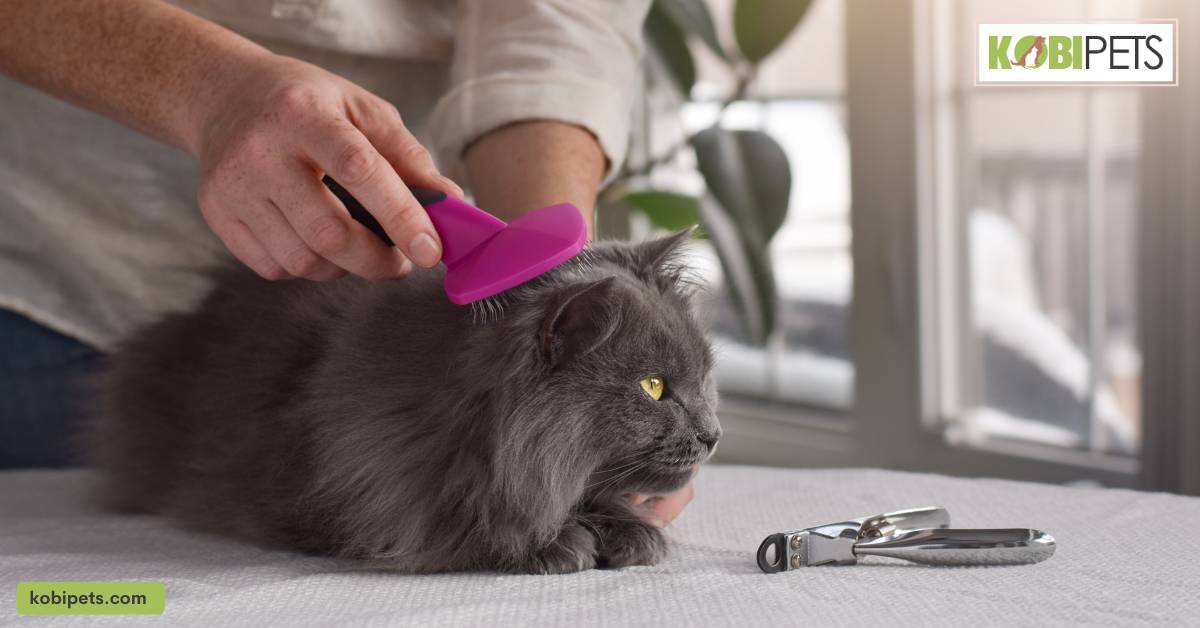 Be Gentle When Brushing Your Cat’s Fur