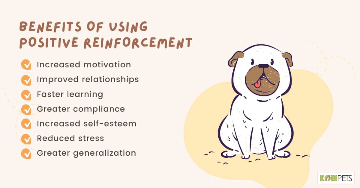 Benefits of Using Positive Reinforcement