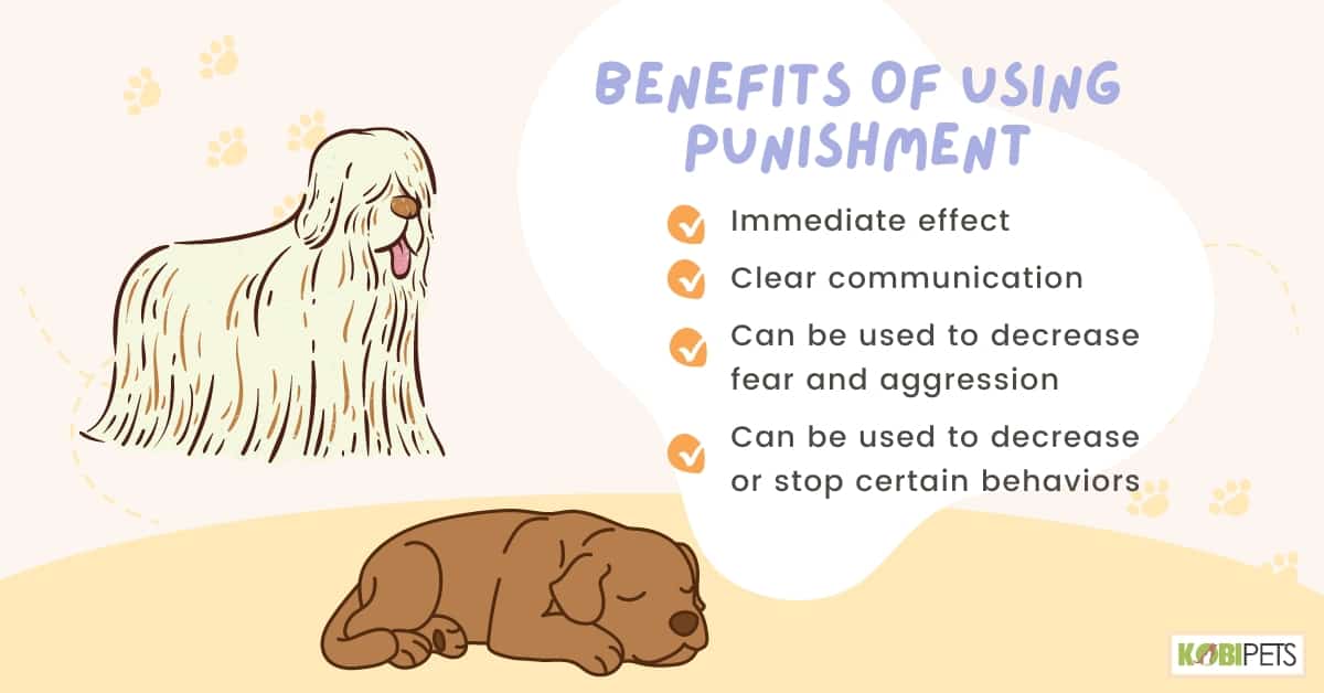 Benefits of Using Punishment