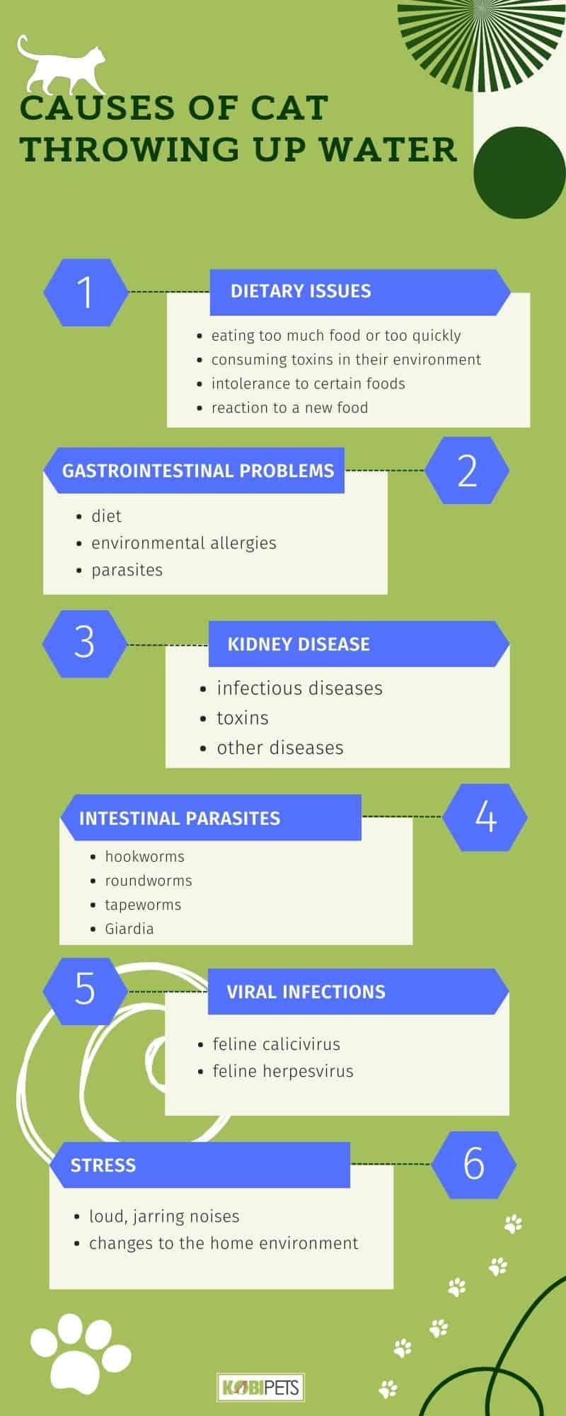 Causes of Cat Throwing Up Water