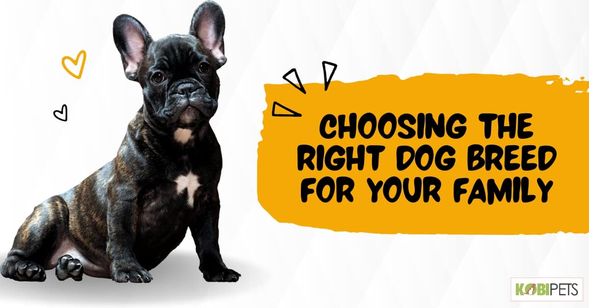 Choosing the Right Dog Breed for Your Family