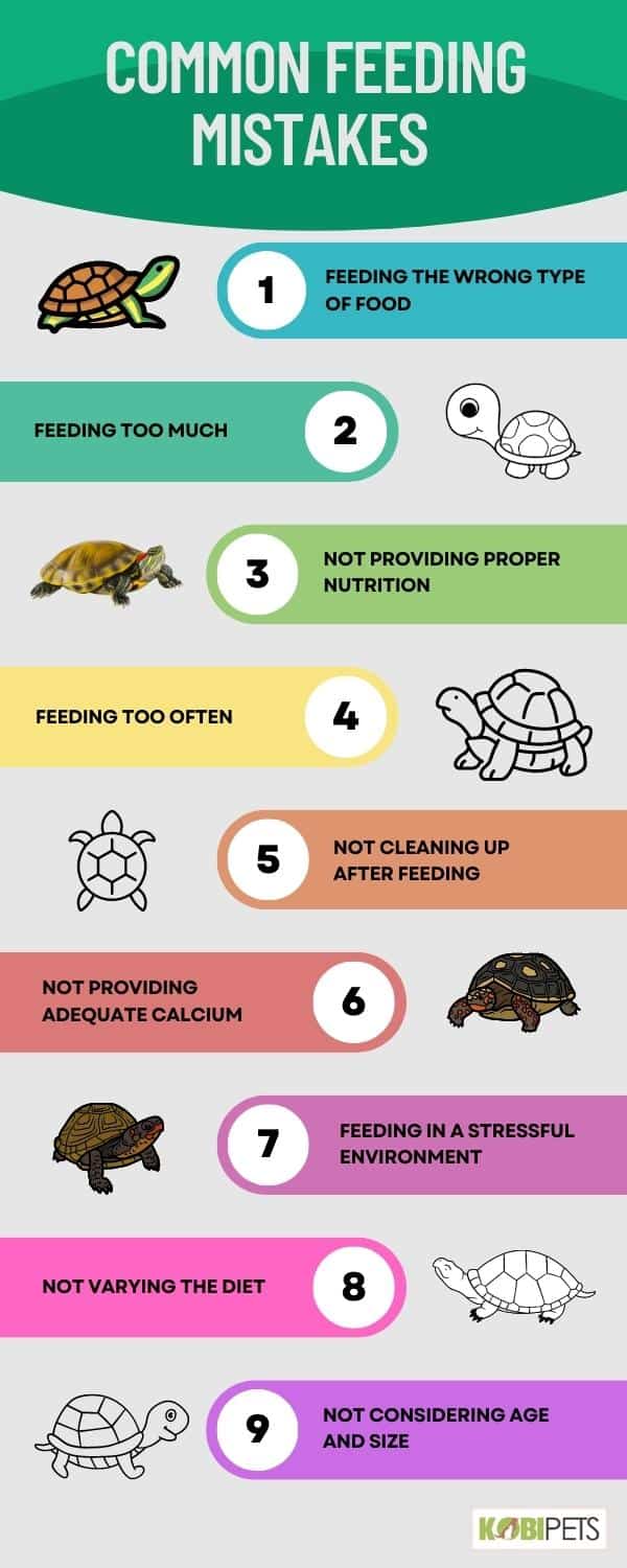 Common Feeding Mistakes When Feeding a Red-Eared Slider Turtle