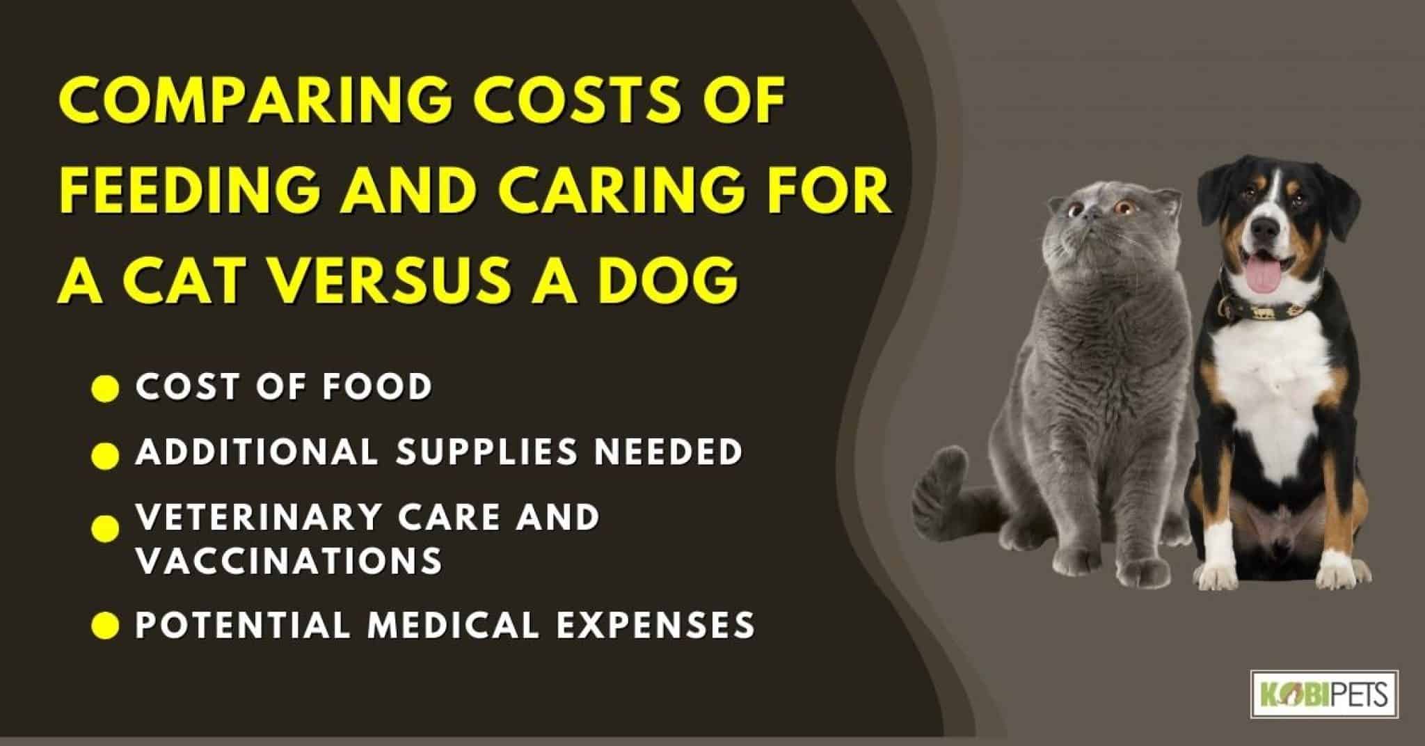 Thumbnail for Cat Food Costs Exceed Dog Food Costs