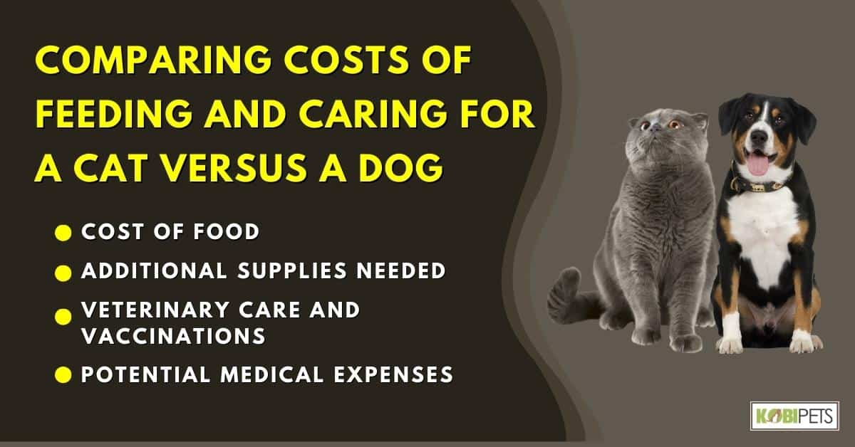 Comparing Costs of Feeding And Caring For A Cat Versus A Dog