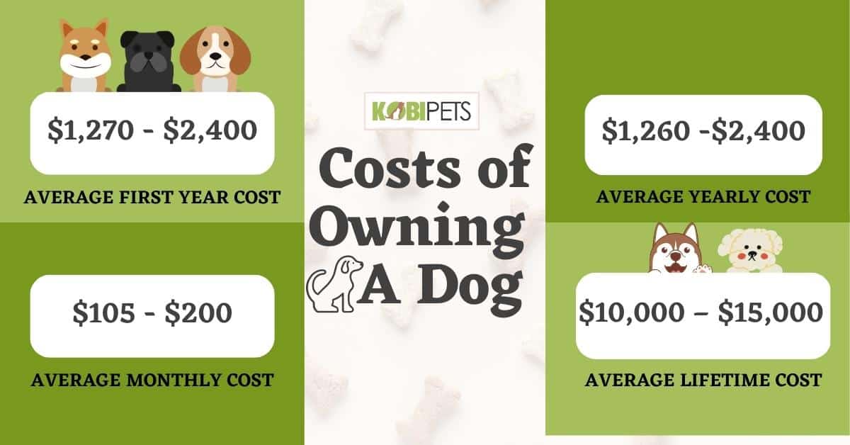 Costs of Owning a Dog Kobi Pets