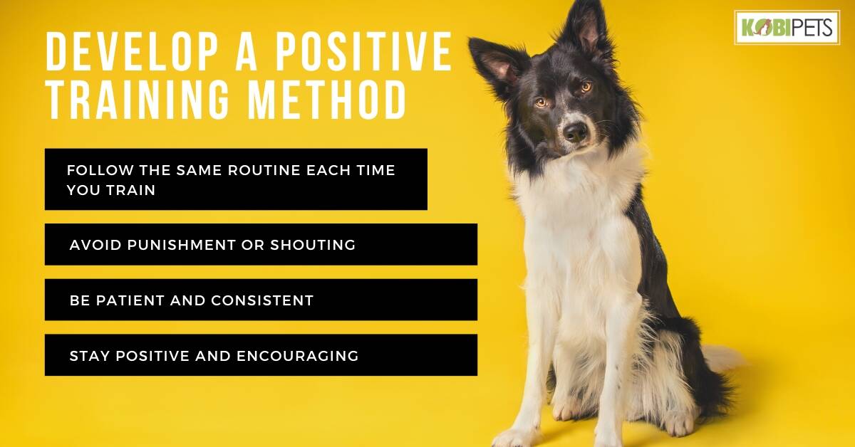 Develop a Positive Training Method