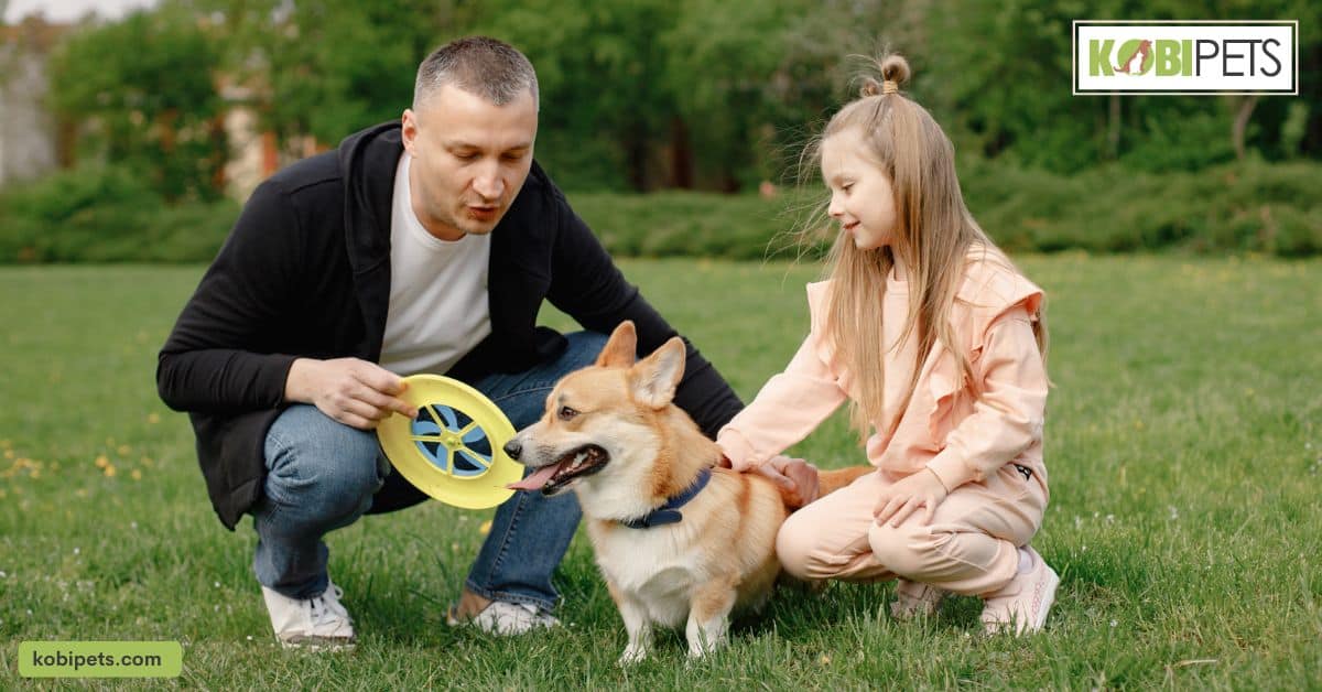 Developing a Special Bond With Your Pet