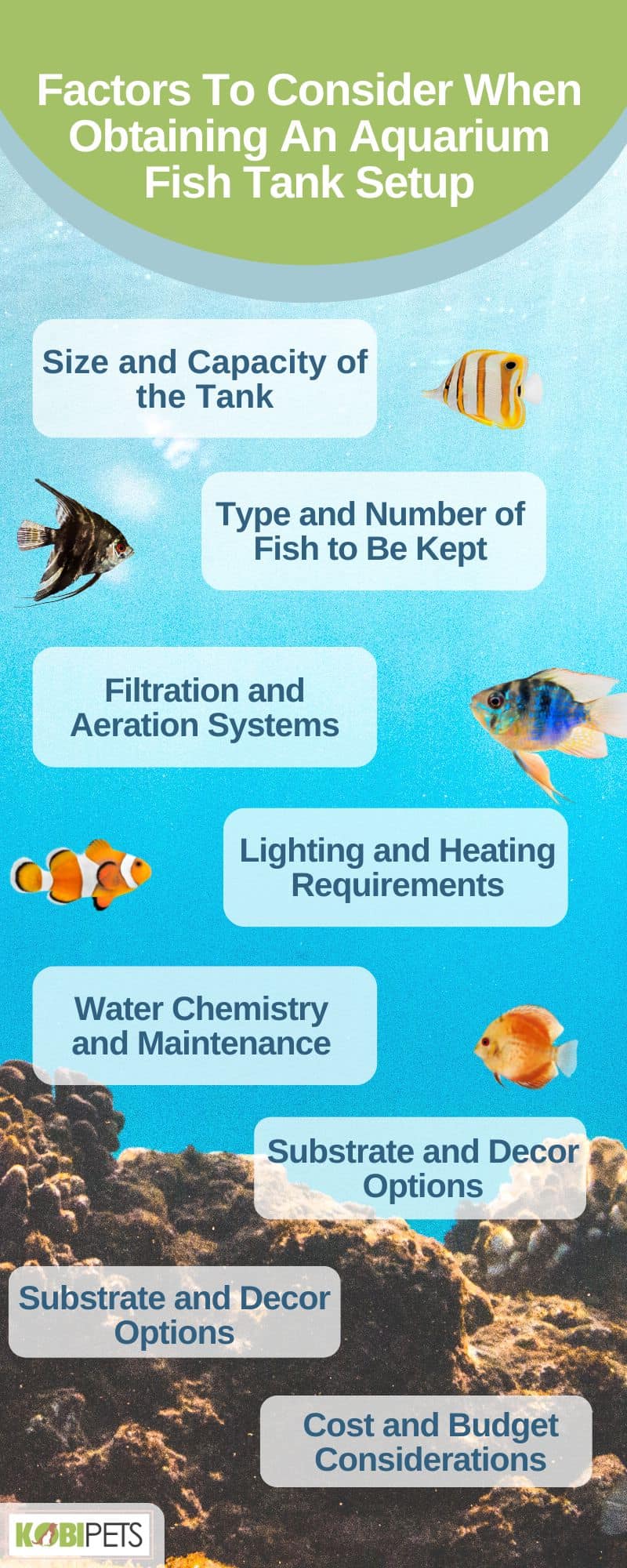 Factors To Consider When Obtaining An Aquarium Fish Tank Setup