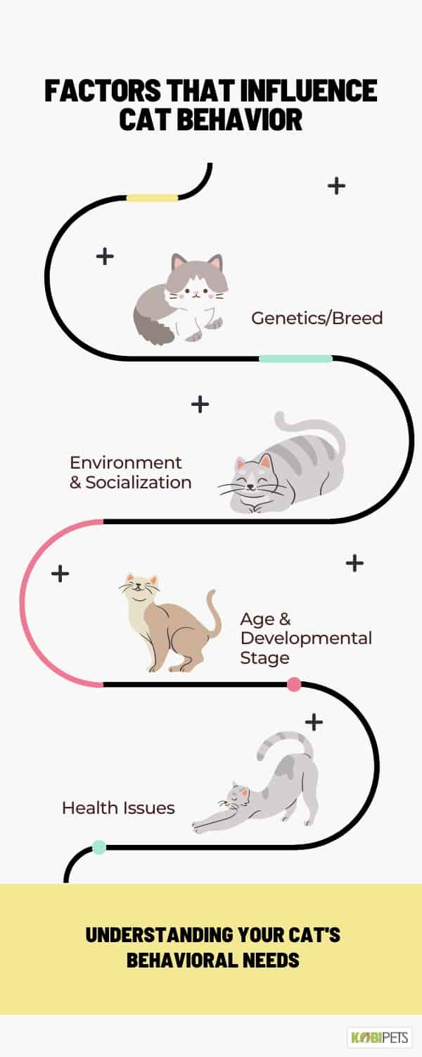 Factors that Influence Cat Behavior